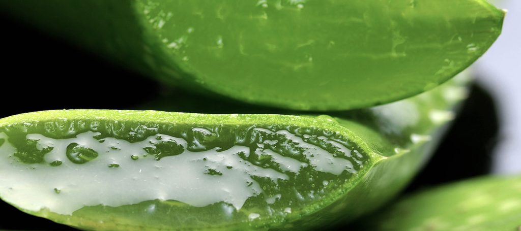 health benefits of Aloe Vera